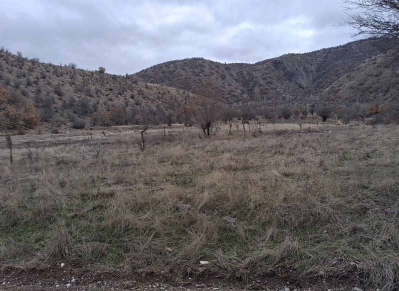 ÇANKIRI ILGAZ'DA 677 M2 SATILIK HİSSELİ TARLA